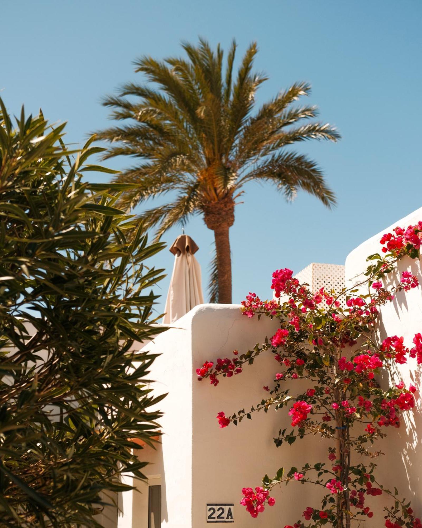 فندق Unio Ibiza - Adults Only كالا فاديلا الغرفة الصورة